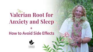 Valerian Root for Anxiety and Sleep + Avoid Valerian Root Side Effects