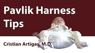 Pavlik Harness Tips