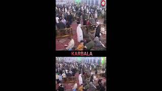 LIVE  Dua E Kumail from KARBALA | Roza Imam Hussain a.s & Hazrat Abbas a.s | Shab E Juma 2024/1446H