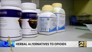 Herbal alternatives to opioids