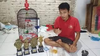 Setingan sogon cepat buka paruh