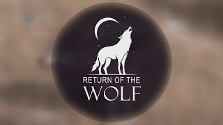 Return of the Wolf