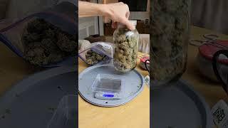 Lemon AK Auto  Fast Buds | Hybrid by kccinkc