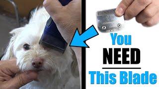 The BEST Blade For Grooming Your Pet