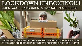 Orchid unboxing: lock-down shopping! Melbourne's in lock-down #5 and this is the result!