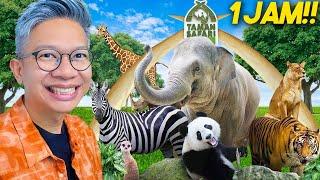 VLOG 1 JAM KE TAMAN SAFARI BOGOR!!