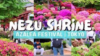 LIVING IN JAPAN 029 | Nezu Shrine | Azalea Festival | Tokyo’s Hidden Gem