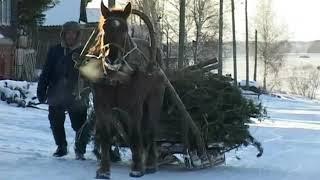 Передача "Земля и Люди"