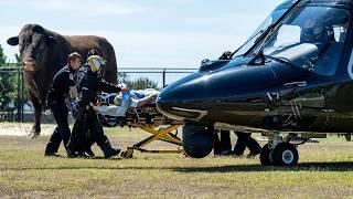 Critical Bull Attack Victim Flown to Baltimore’s Shock Trauma