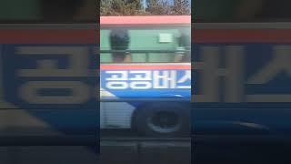 서울에서 집애가가