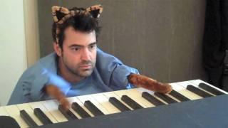 Keyboard Cat Redux