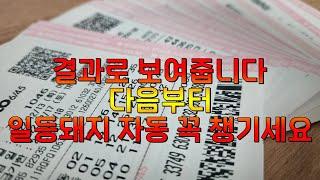 로또 당첨번호 미리 알고 싶다면 일등돼지 자동에서 확인 필수(결과로 보여 줌)