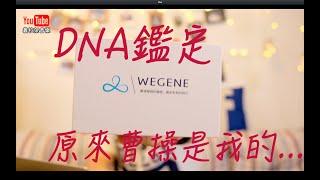 【開箱實測】DNA基因鑑定｜WeGene｜基因分系｜祖源分系｜運動基因｜營養代謝｜健康風險｜遺傳疾病｜藥物指南｜遺傳特徵｜皮膚特性｜心理特質｜