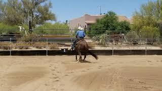 Cutters One Time Cutting/Cowhorse Prospect