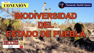 ESTAMPAS DE BIODIVERSIDAD PUEBLA