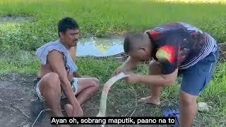 AMAW NGA DAVID NAHIMONG KARABAW _ SIQUIJOR VINERS VLOG