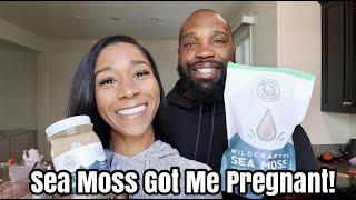 SEA MOSS GOT ME PREGNANT | HOW TO MAKE SEA MOSS GEL | SMOOTHIE RECIPE | HERBAL VINEYARDS REVIEW