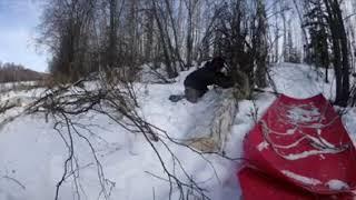 Positive Futures Magazine - Chainsawing in Galena, Alaska with snow machine at -40C