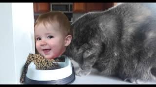 CAT BABY PART 2