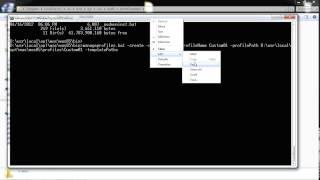 creating Custom profile (node) through command line in  IBM WebSphere Application Server on windows