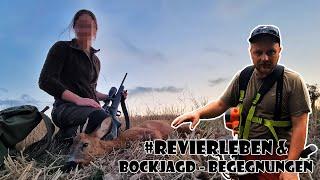 #revierleben und Bockjagd-Begegnungen / RevierLeben // Vlog 65