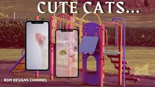 Cute Cats Compilation -  Edited in Canva b y Rdm Designs