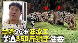 台湾56岁油漆工“抄近路”回家，惨遭350斤狮子活吞，警方连开5枪将狮子击毙#灾难 #世界之最 #动物 #災難 #動物 #纪录片 #top