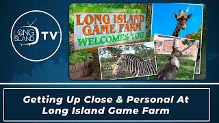 Getting Up Close & Personal at Long Island GameFarm