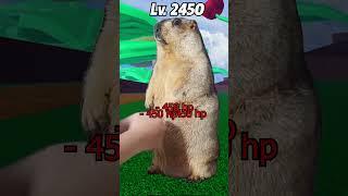 When Capybara playing Blox Fruits #bloxfruits #shorts #roblox