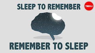 The benefits of a good night's sleep - Shai Marcu