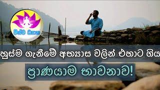 BE THE MASTER OF YOUR MIND - Part 114 | Pranayama Meditation | ප්‍රාණයාම භාවනා!   VISHWA DHYANA