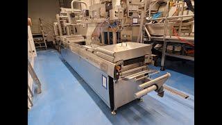 Online auction fully automatic production, packaging and palletizing line for fries and potatoes