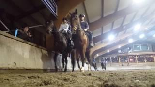 #vlog 1 KNHS/FNRS Ruiteropleiding: Springen van Brons naar Zilver
