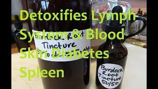 Making Burdock Root Double Tincture