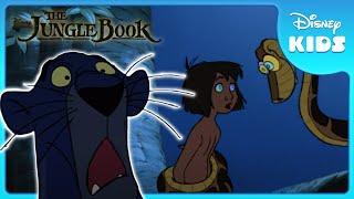  Bagheera Saves Mowgli! | Jungle Book | Disney Kids