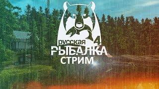 Фарм на Густере в Русская рыбалка 4 | рр4 | Russian Fishing 4