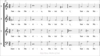 Handl-Gallus | Ave Maria [á 4; before Victoria; Capella de Ministrers]