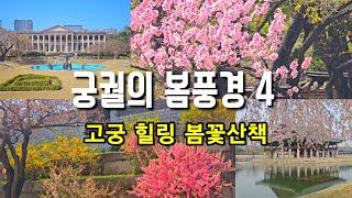 서울 4대 궁궐 봄풍경/지하철로 가는 궁궐 당일 여행 , 4~5월 서울가볼만한곳, Spring scenery of the Four Grand Palaces of Seoul