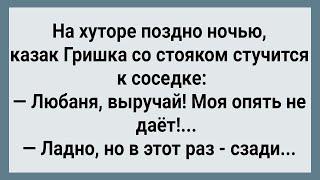 Как Гришка Казак По Бабам Бегал! Сборник Свежих Анекдотов! Юмор!