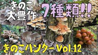 きのこハンターVol.12 大豊作1日で7種類のきのこ収穫