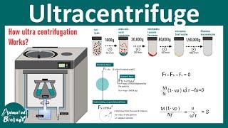 Ultracentrifugation | Preparative and Analytical Ultracentrifugation | Biotechniques playlist