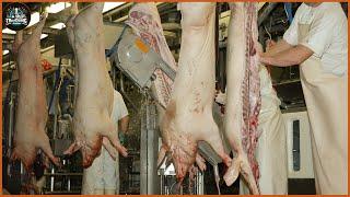 How Does A Pig Slaughterhouse In The Uk Work ? - Pig Processing | Farming Documentary