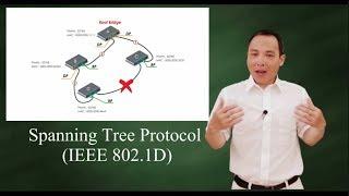 Spanning Tree Protocol (IEEE 802 1D)