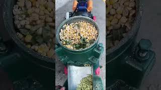 Small Pellet Making Machine