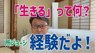 レイキヒーリング【ヒーラーの独り言】人生ってどういうこと？