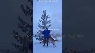 Отель Финвал Териберка - в уникальном уголке России, в 130 км от Мурманска  #Териберка