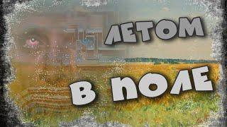 Летом в поле. Видео. Аудио.