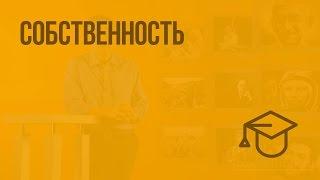 Собственность. Видеоурок по обществознанию 8 класс