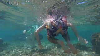 Snorkeling Baby Beach Maui