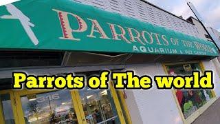 The Parrot world /Bird Store /Pet Smart/Pet store/Pet Shop/Bird Store Tour Brooklyn /Petco / Aquriam